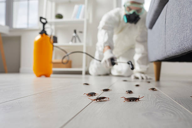 Commercial Kitchen Cockroach Control in Pocomoke City